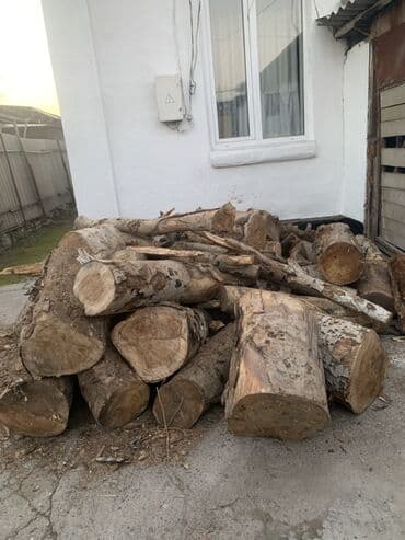 Дрова at lalafo.kg Дрова