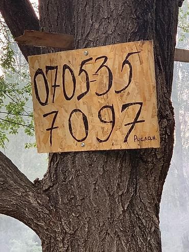 Уктоого арналган матрастар: Уктоого арналган матрас, Жаңы, Бир кишилик, Башка өлкө, Пружинасыз, Башка түрү, Башка бренд, Орточо катуу матрастар, Бөлүп төлөө менен, Акысыз жеткирүү lalafo.kg да — 10 Уктоого арналган матрастар: Уктоого арналган матрас, Жаңы, Бир кишилик, Башка өлкө, Пружинасыз, Башка түрү, Башка бренд, Орточо катуу матрастар, Бөлүп төлөө менен, Акысыз жеткирүү — 10