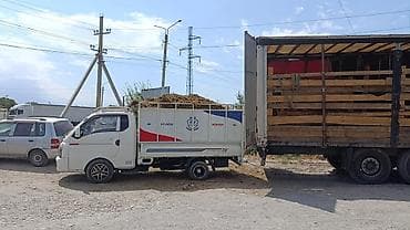 Вывоз мусора вывоз мусора вывоз мусора Вывоз мусора вывоз мусора at lalafo.kg Вывоз мусора вывоз мусора вывоз мусора Вывоз мусора вывоз мусора