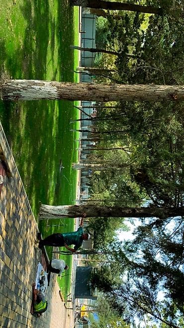 Уборка территории, Уборка двора и сада at lalafo.kg Уборка территории, Уборка двора и сада