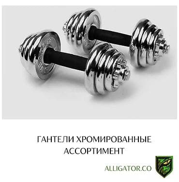 Гантели разборные 10+10 кг пара Хромированные Высшего качества at lalafo.kg Гантели разборные 10+10 кг пара Хромированные Высшего качества