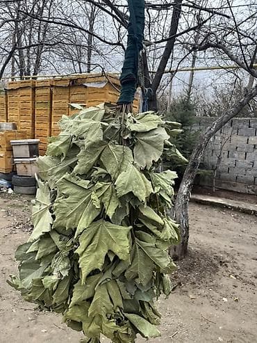 Метла at lalafo.kg Метла