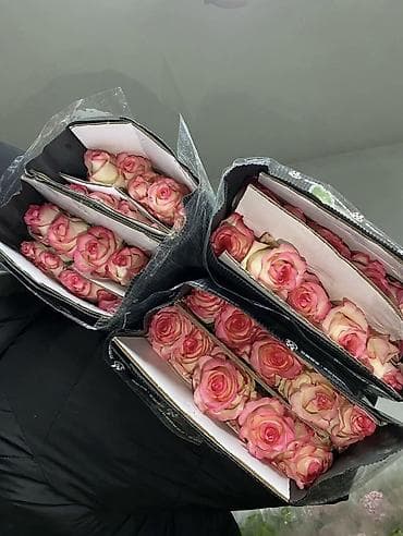 Розы 50см
150 шт в наличии at lalafo.kg Розы 50см
150 шт в наличии