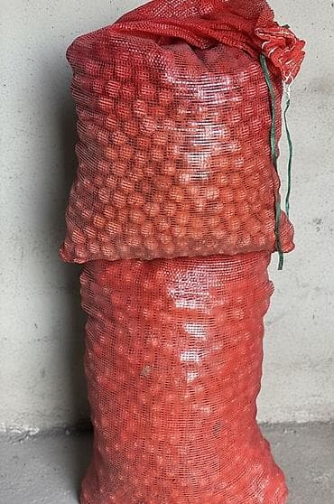 40 кг по 30 сом толсто шкурые чукума at lalafo.kg 40 кг по 30 сом толсто шкурые чукума