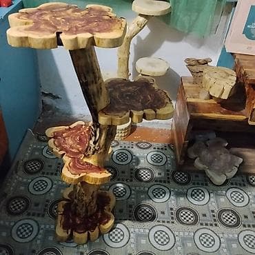 Дүкөн үчүн текчелер: Гүлдөр үчүн текче, этажерка, Жыгач lalafo.kg да — 10 Дүкөн үчүн текчелер: Гүлдөр үчүн текче, этажерка, Жыгач — 10