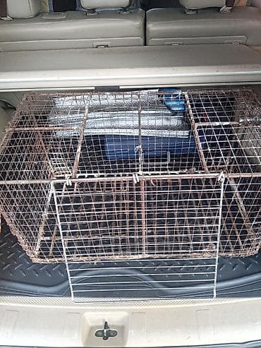 Продается клетка для кроликов, курей. Длина 70см, высота и ширина по at lalafo.kg — 3 Продается клетка для кроликов, курей. Длина 70см, высота и ширина по — 3