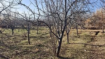 6 соток, Курулуш, Кызыл китеп lalafo.kg да 6 соток, Курулуш, Кызыл китеп