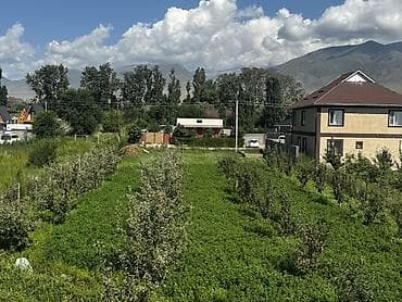 10 соток, Красная книга at lalafo.kg 10 соток, Красная книга