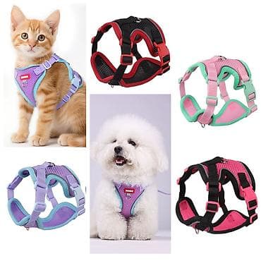 ПРОДАЮ КОВРИКИ ДЛЯ ЛОТКА ЧТОБЫ НАПОЛНИТЕЛЬ НЕ РАЗСЫПАЛСЯ ПО ДОМУ,НЕ at lalafo.kg — 4 ПРОДАЮ КОВРИКИ ДЛЯ ЛОТКА ЧТОБЫ НАПОЛНИТЕЛЬ НЕ РАЗСЫПАЛСЯ ПО ДОМУ,НЕ — 4