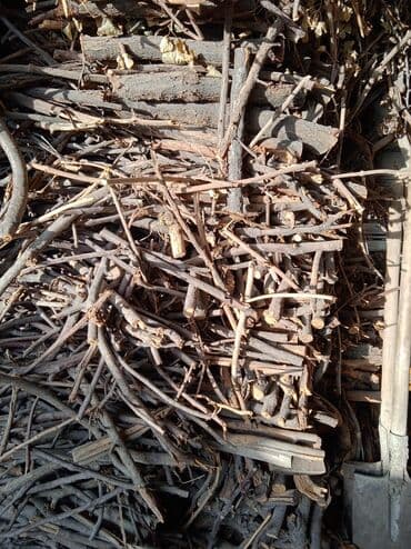 Дрова at lalafo.kg Дрова