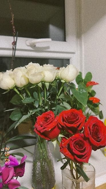 Повар керек Ысык атага чакан кафеге
Ушу номерге Чалгыла суйлошобуз at lalafo.kg Повар керек Ысык атага чакан кафеге
Ушу номерге Чалгыла суйлошобуз