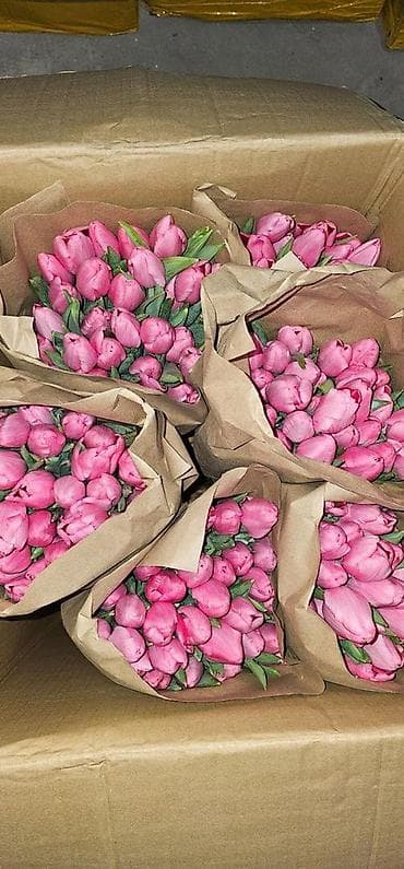 Самовывоз at lalafo.kg Самовывоз