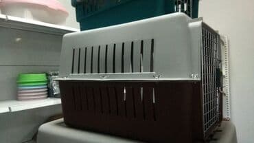 Переноски для кошек и собак .
размер 60 40 39 цена 2300 at lalafo.kg Переноски для кошек и собак .
размер 60 40 39 цена 2300