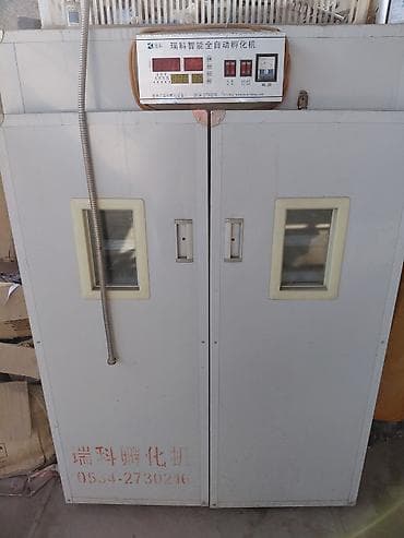 Инкубатор для яиц Ruike (瑞科) с автоматическим управлением - at lalafo.kg Инкубатор для яиц Ruike (瑞科) с автоматическим управлением -