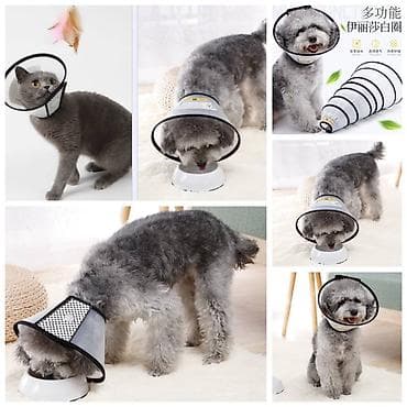 Продаю новые защитные ветеринарные воротники для животных(цена зависит at lalafo.kg Продаю новые защитные ветеринарные воротники для животных(цена зависит