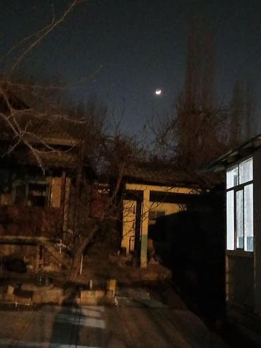 Обрезка плодовых деревьев at lalafo.kg Обрезка плодовых деревьев