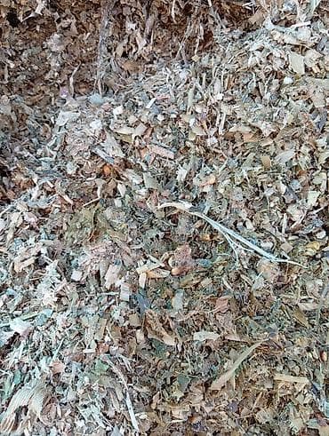 Селос сатылат басы 7 сомдон номер at lalafo.kg Селос сатылат басы 7 сомдон номер