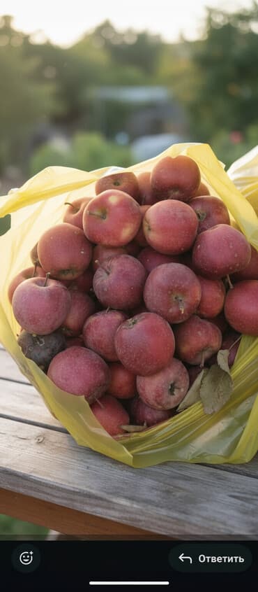 Яблоки Оптом at lalafo.kg Яблоки Оптом