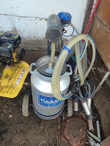 Доильный аппарат TULSAN (мобильный, на колесах) - Профессиональная at lalafo.kg Доильный аппарат TULSAN (мобильный, на колесах) - Профессиональная