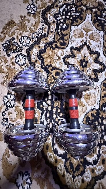 Разборные гантели с металлическими дисками - Комплект из двух at lalafo.kg Разборные гантели с металлическими дисками - Комплект из двух