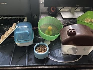 Продаю клетку для хомяков Есть все принодлежности, состояние хорошое at lalafo.kg Продаю клетку для хомяков Есть все принодлежности, состояние хорошое