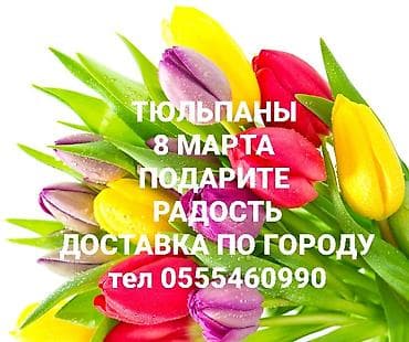 Тюльпаны к 8 марта — яркие букетные композиции из свежесрезанных at lalafo.kg Тюльпаны к 8 марта — яркие букетные композиции из свежесрезанных