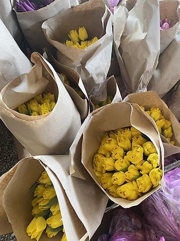 Тюльпаны к 8 Марта — опт и розница. - Свежесрезанные тюльпаны разных at lalafo.kg — 9 Тюльпаны к 8 Марта — опт и розница. - Свежесрезанные тюльпаны разных — 9