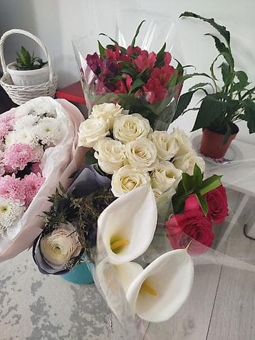 Продаю цветы, розы, калы,ДОГОВОРИМСЯ по цене,срочно срочно at lalafo.kg Продаю цветы, розы, калы,ДОГОВОРИМСЯ по цене,срочно срочно