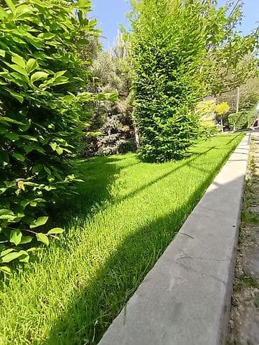 Өрт жабдуулары: Газон под ключ посев газона карликовыйсолнечныйспортивныйесть lalafo.kg да — 3 Өрт жабдуулары: Газон под ключ посев газона карликовыйсолнечныйспортивныйесть — 3