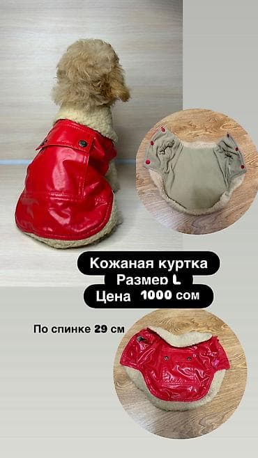 Одежда для собак и кошек, большой выбор Все НОВОЕ РАЗМЕР И ЦЕНА at lalafo.kg Одежда для собак и кошек, большой выбор Все НОВОЕ РАЗМЕР И ЦЕНА