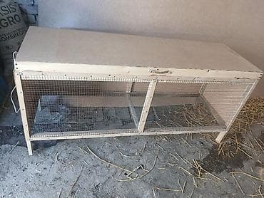 Клетка/брудер для птицы и мелких животных до 70 цыплят - Просторная at lalafo.kg Клетка/брудер для птицы и мелких животных до 70 цыплят - Просторная