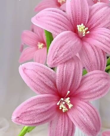 Делаю букеты из синельной проволоки, подойдёт как подарок на праздник at lalafo.kg Делаю букеты из синельной проволоки, подойдёт как подарок на праздник