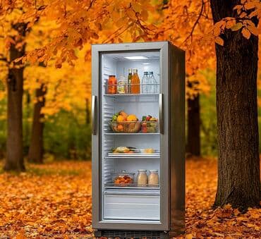 Ремонт бытовых холодильников Особенности: - Вертикальная at lalafo.kg Ремонт бытовых холодильников Особенности: - Вертикальная