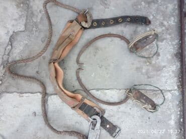 Для деревянных столбов и деревьев at lalafo.kg Для деревянных столбов и деревьев