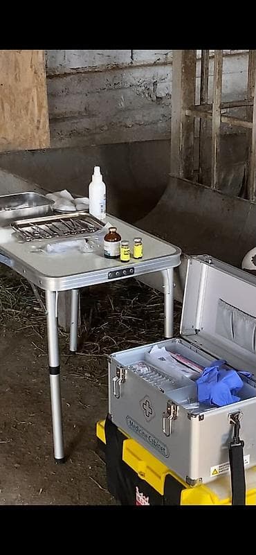 VetProKg — ветеринарная клиника и выездная служба для at lalafo.kg VetProKg — ветеринарная клиника и выездная служба для