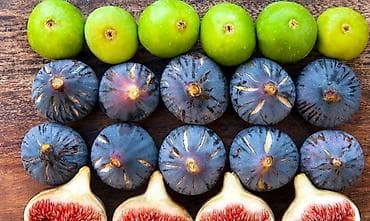 Местный инжир !!! Вырощенный в Бишкеке !!!годовалые и 2х летние at lalafo.kg Местный инжир !!! Вырощенный в Бишкеке !!!годовалые и 2х летние