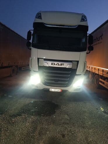 Сүйрөгүч, DAF, 2018 г., Прицепсиз lalafo.kg да Сүйрөгүч, DAF, 2018 г., Прицепсиз