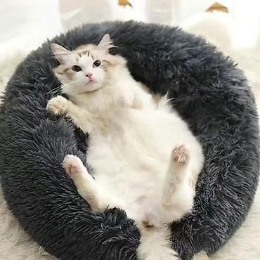 Пушистая круглая лежанка для домашних животных - Тип: круглая at lalafo.kg Пушистая круглая лежанка для домашних животных - Тип: круглая