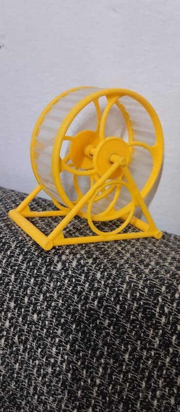 Деңиз чочколору: Продаются колесо и прогулочный шар для джунгарского хомячка. И колесо lalafo.kg да — 1 Деңиз чочколору: Продаются колесо и прогулочный шар для джунгарского хомячка. И колесо — 1