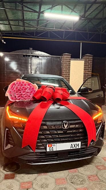 Большие подарочные банты для автомобилей - Эффектные банты для at lalafo.kg Большие подарочные банты для автомобилей - Эффектные банты для