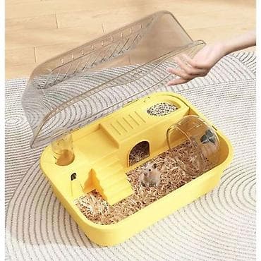 Деңиз чочколору: Клетка-дом для джунгарского хомяка (комплект) Описание: - Компактная lalafo.kg да — 4 Деңиз чочколору: Клетка-дом для джунгарского хомяка (комплект) Описание: - Компактная — 4