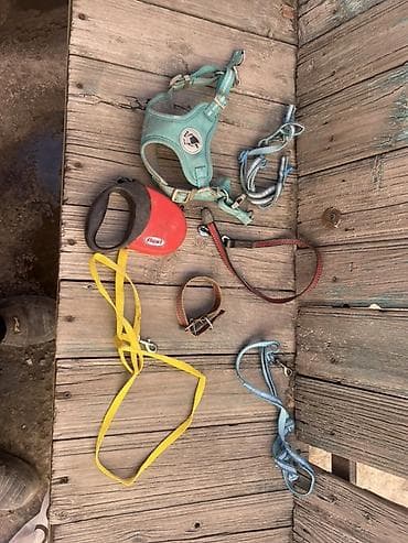 Набор амуниции для собак Продаю ошейник, поводки и шлейку. Подойдут at lalafo.kg Набор амуниции для собак Продаю ошейник, поводки и шлейку. Подойдут