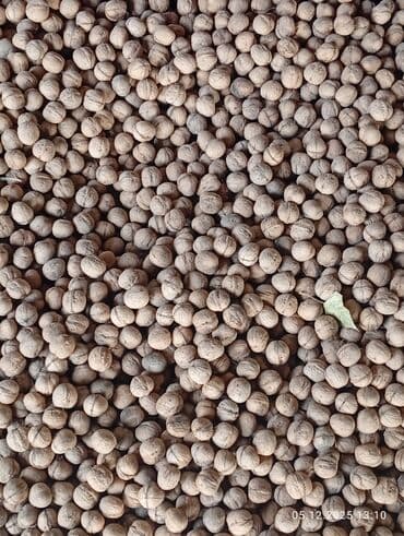 Грецкий орех в скорлупе - Натуральные орехи нового урожая at lalafo.kg Грецкий орех в скорлупе - Натуральные орехи нового урожая