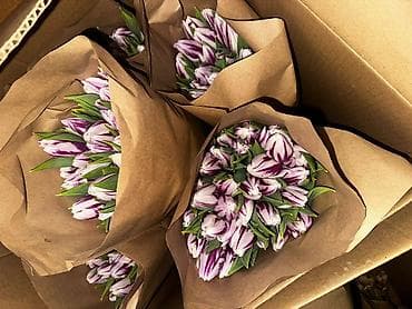 Бонбоньерки: В наличии Тюльпаны🌷💐 имеются в ярких и разных цветах . также есть at lalafo.kg — 6 Бонбоньерки: В наличии Тюльпаны🌷💐 имеются в ярких и разных цветах . также есть — 6