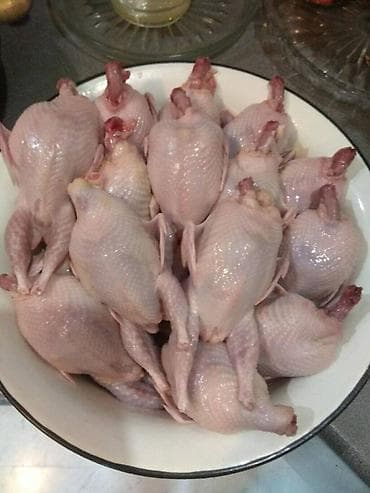 Перепелиное мясо мы в центре города удобная локация at lalafo.kg Перепелиное мясо мы в центре города удобная локация