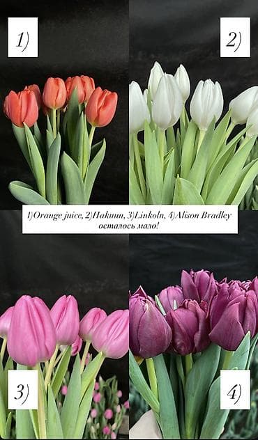 Тюльпан: Самовывоз, Платная доставка at lalafo.kg — 7 Тюльпан: Самовывоз, Платная доставка — 7