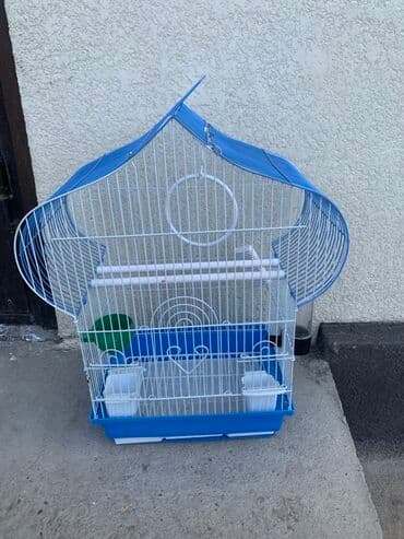 Клетка для попугаев Подходит для одной-двух мелких птиц. Компактная at lalafo.kg Клетка для попугаев Подходит для одной-двух мелких птиц. Компактная