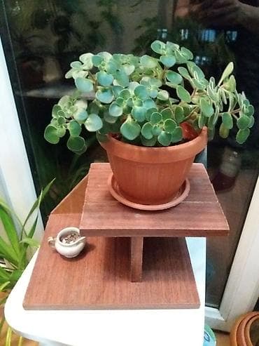 Полочка навесная
300сом at lalafo.kg — 2 Полочка навесная
300сом — 2