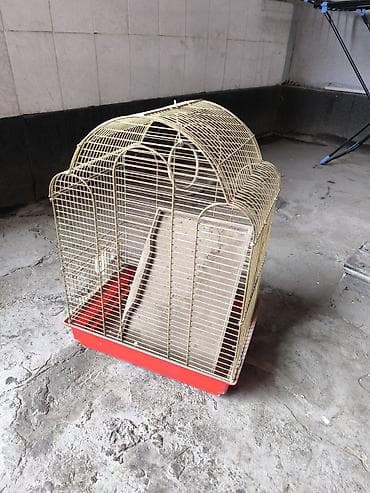 Клетка для птиц с поддоном - Размеры ориентировочно: средние at lalafo.kg Клетка для птиц с поддоном - Размеры ориентировочно: средние