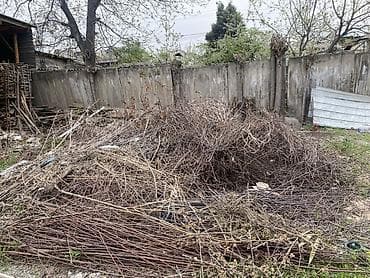 Дрова at lalafo.kg Дрова